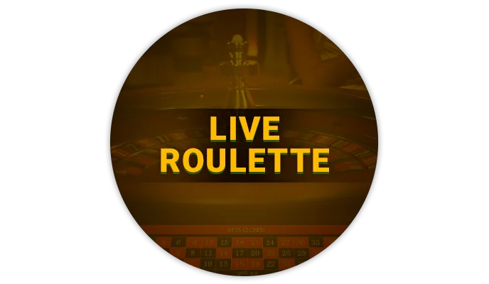 About Live Roulette Games at BetVisa Casino - Information for Bangladeshi Players